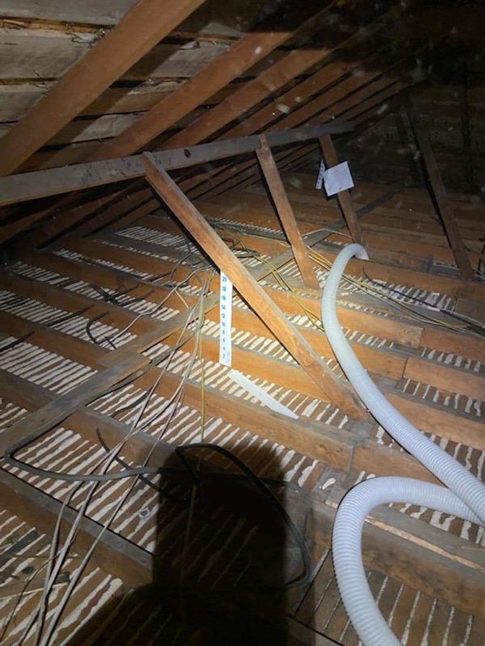 Gallery photos for Attic Insulation Removal Projects: Image #1