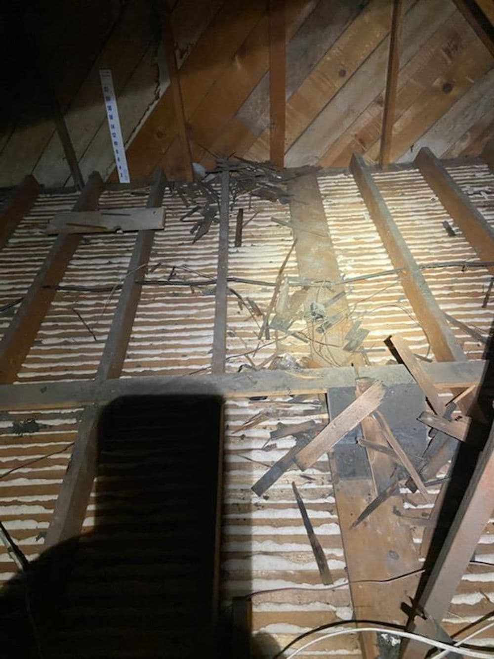 Gallery photos for Attic Insulation Removal Projects: Image #2